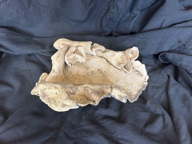 Curved ceramic vessel