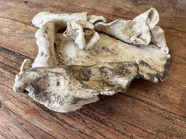 Organic ceramic piece